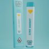 grab and dab lime sorbet
