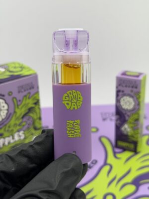 grab and dab dual 2g disposable